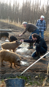 Besondersschn Archive 2011